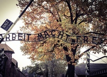 Rzecznik generalny TSUE: B. więzień Auschwitz może dochodzić sprawiedliwości za "polskie obozy"