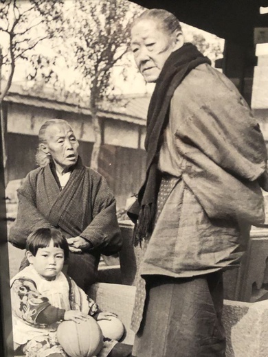 Stalowa Wola. W Kraju Kwitnącej Wiśni