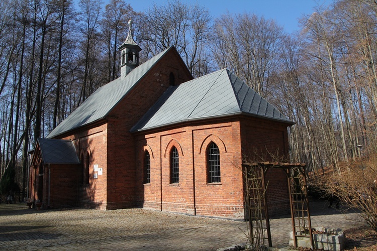 Trzebnica. Droga Krzyżowa w duchu Camino