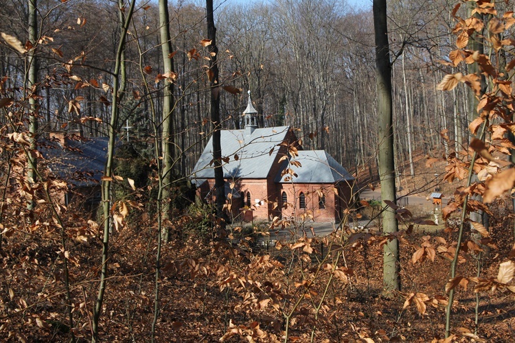 Trzebnica. Droga Krzyżowa w duchu Camino