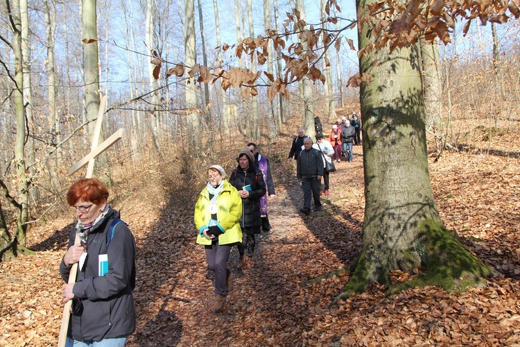 Trzebnica. Droga Krzyżowa w duchu Camino