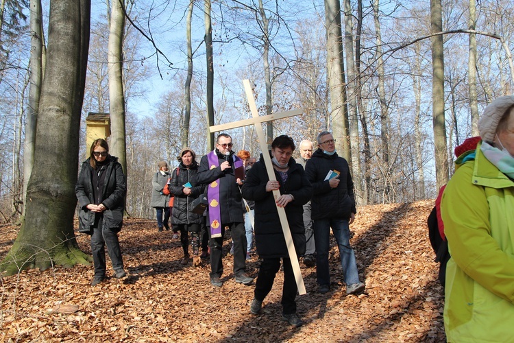 Trzebnica. Droga Krzyżowa w duchu Camino