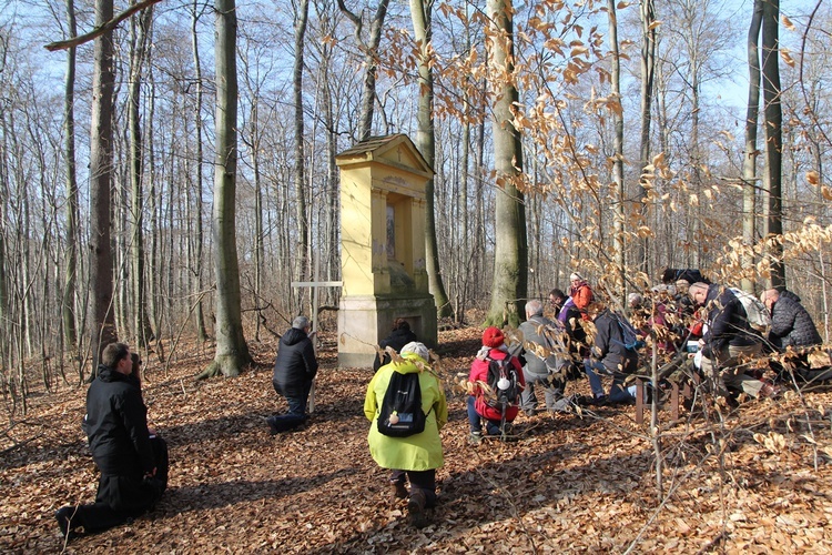 Trzebnica. Droga Krzyżowa w duchu Camino