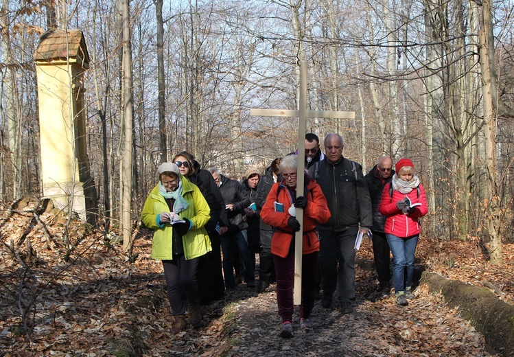 Trzebnica. Droga Krzyżowa w duchu Camino