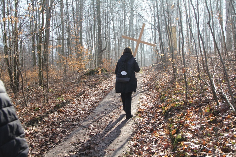 Trzebnica. Droga Krzyżowa w duchu Camino