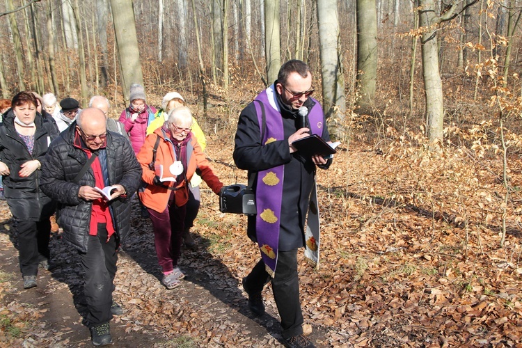 Trzebnica. Droga Krzyżowa w duchu Camino