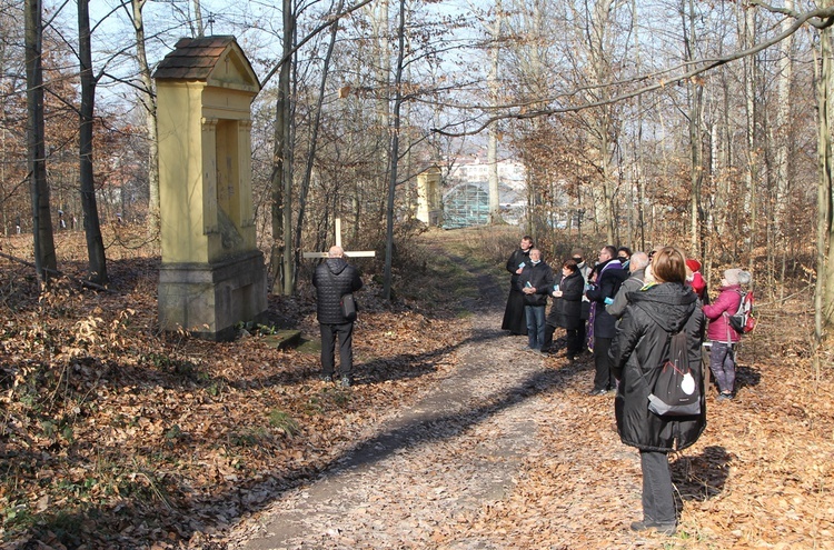 Trzebnica. Droga Krzyżowa w duchu Camino