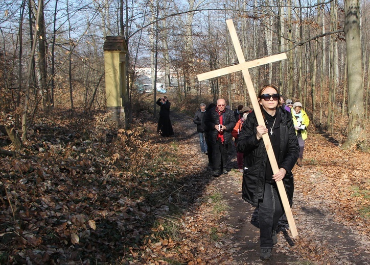 Trzebnica. Droga Krzyżowa w duchu Camino