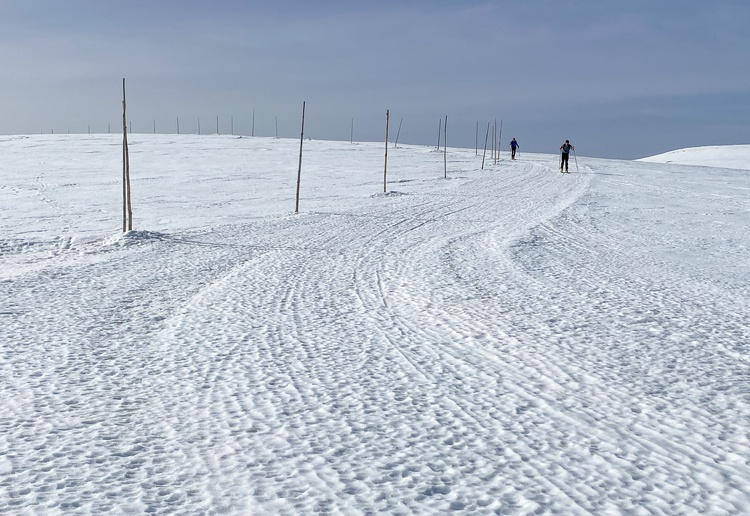 Śnieżka i okolice