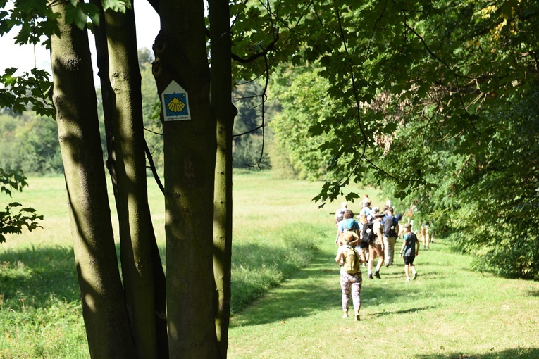 Na szlak jakubowy zaprasza brzeskie sanktuarium św. Jakuba. 