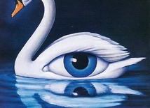 „Ewolucyjny przypadek, który się nie wydarzył”, 2003.