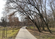Park Ludowy - dogodne miejsce na spacer oraz intensywniejszą aktywność fizyczną 