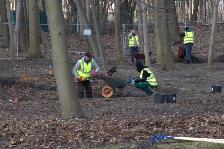 Prace na Westerplatte - marzec 2021 r.