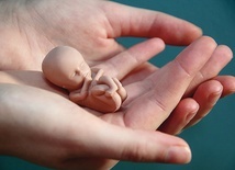 	Figurka dziecka na etapie rozwoju w łonie matki.