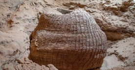 Najstarszy pleciony kosz na świecie znaleziony w Izraelu 