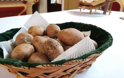 Błogosławieństwo ziemniaków w Ołpinach to wyjątkowy zwyczaj w diecezji tarnowskiej.
