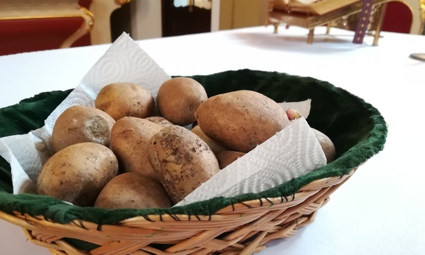 Błogosławieństwo ziemniaków w Ołpinach to wyjątkowy zwyczaj w diecezji tarnowskiej.