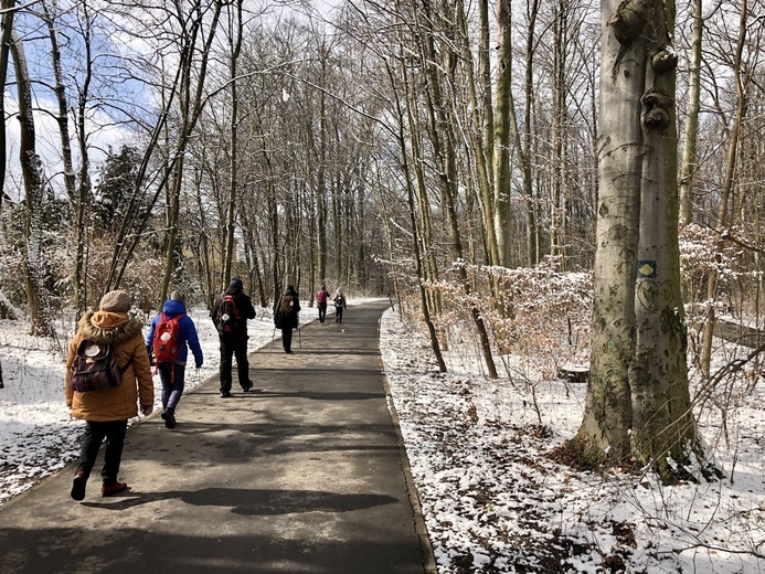 Wyruszyli na Camino. Brzeg - Małujowice