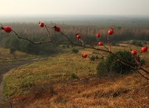 Bez fajerwerków