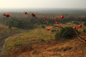 Bez fajerwerków