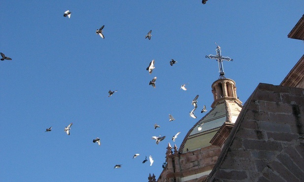 W zgromadzeniu Legion Chrystusa 27 księży winnych pedofilii i 170 ofiar