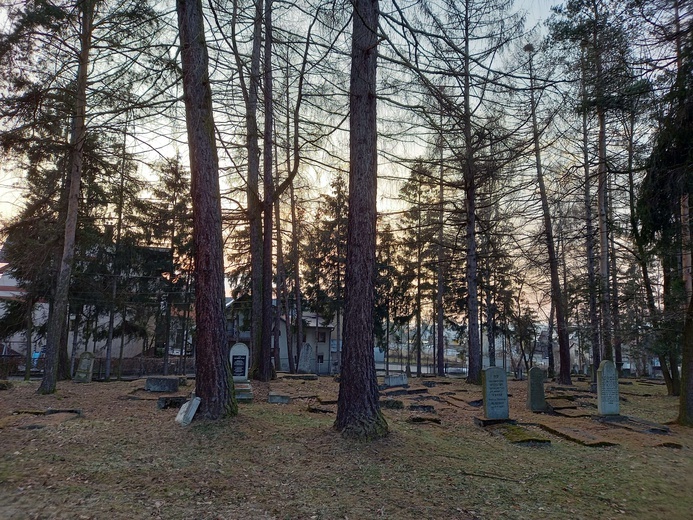 Początek prac na nowotarskim cmentarzu żydowskim