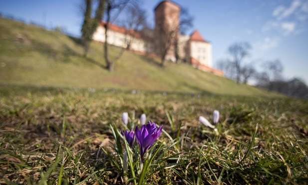 Idzie wiosna