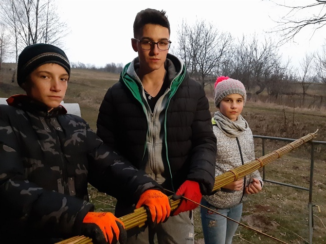 Rodzina Leszczyńskich z Lipnicy Dolnej szykuje palmę