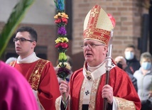 Emocje zastąpiły rozum i sumienie