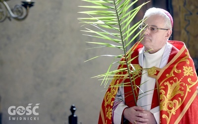 Niedziela Palmowa w świdnickiej katedrze