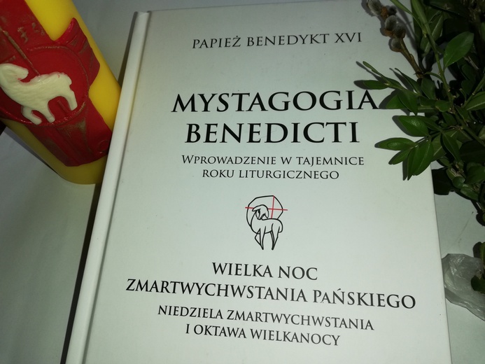 W oczekiwaniu na Światło 