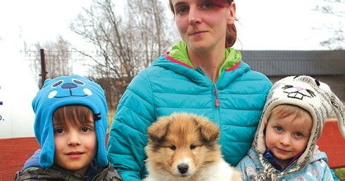 	W domu państwa Sierajewskich zawitał nowy pies – owczarek szkocki. Jest czwartym czworonogiem.