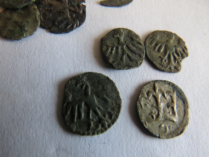 Skarb odnaleziony w Goźlicach. 