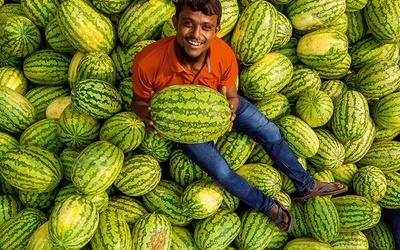 Transport łodzią świeżych arbuzów na targowisko w okolicach stolicy Bangladeszu.
25.03.2021 Dhaka, Bangladesz
