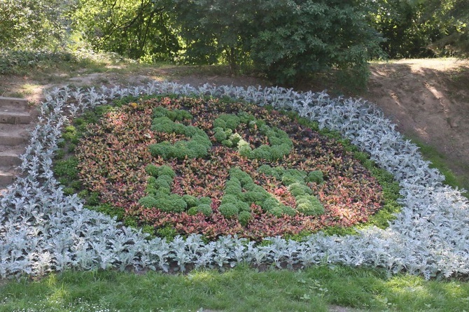 Barwy ogrodu botanicznego