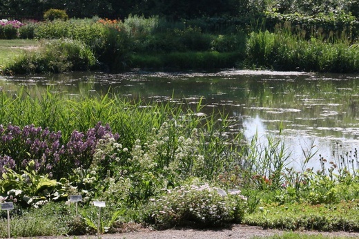 Barwy ogrodu botanicznego