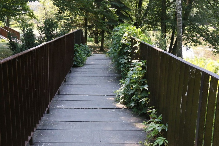 Barwy ogrodu botanicznego