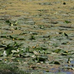 Barwy ogrodu botanicznego