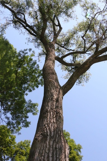 Barwy ogrodu botanicznego