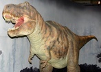 Tyranozaur nie był jednak bystrzakiem