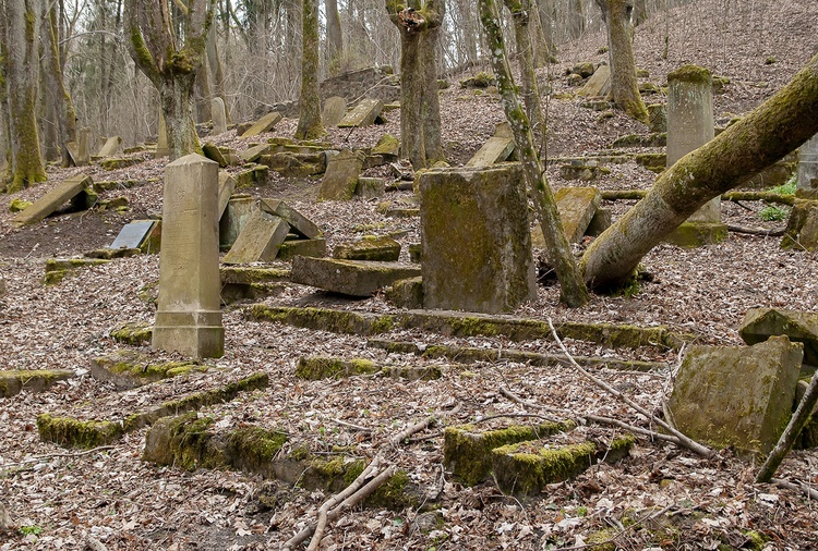 Sprzątanie na żydowskim cmentarzu w Świdwinie 