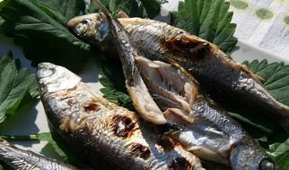 18.04.2021 | Czy Jezus przypominał ducha?