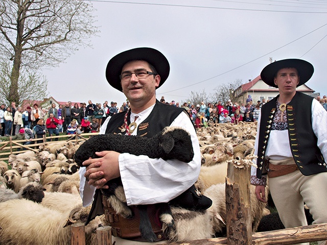 	Wiele wydarzeń ukaże tradycje pasterskie i owczarskie. 
