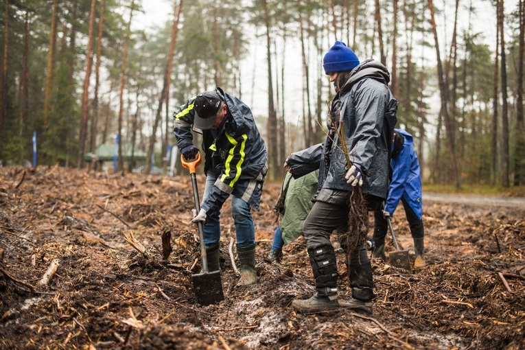 Połączyły ich drzewa