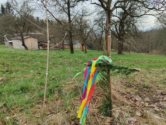 W niektórych miejscach pojawiają się przystrojone krzyże.