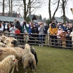 Święto Bacowskie w Ludźmierzu