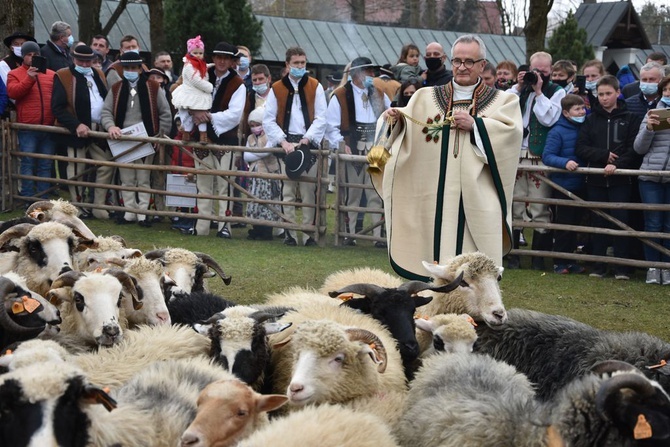 Święto Bacowskie w Ludźmierzu