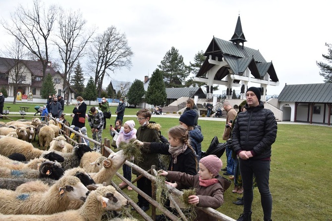 Święto Bacowskie w Ludźmierzu