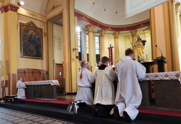 Niedziela Powołań w diecezji świdnickiej