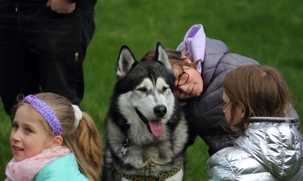 Bolesławiec. Pieski z Kalevali